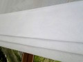 DSC00704.JPG