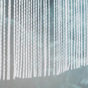 rani160x90c.jpeg