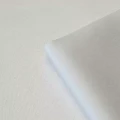 nina.webp