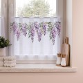 zazdrostka wisteria.jpeg