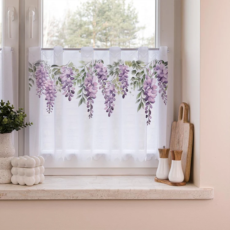 zazdrostka wisteria.jpeg