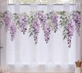 zazdrostka wisteria.jpeg