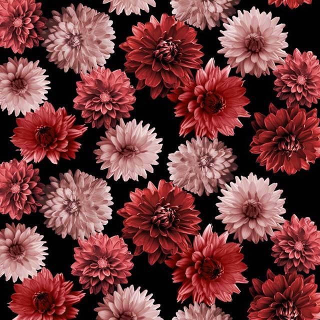 691d7288b262229235177b3859d817ea