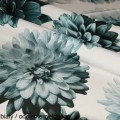 8d29860a72f78cde688472fbc8744552